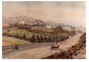 Christopher Aubrey, Brougham Street 1889. ATL C-030-005 McDonnell’s house is the 2-storeyed one to the right on the hill top 