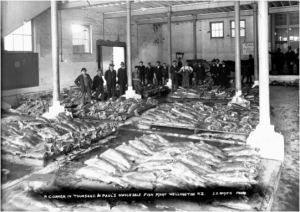 Townsend & Paul's wholesale fish market, Wellington, ca 1910 [Alexander Turnbull Library 1/2-047904-G] From 1920 to 1944/45, James Paul of the firm Townsend & Paul lived at 105 Brougham Street, Mt Victoria. 