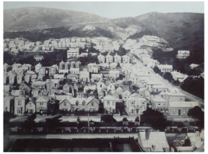 The former Gray Estate can be seen, still uninhabited, on the left just above the middle of this photograph dated c. 1895. Poutawera’s house would be just out of the frame to the left of the ‘green’ patch. (Note Waring Taylor’s large house far right.) [Photograph from the collection of Alan Marshall]
