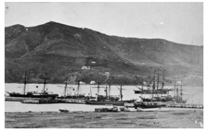 Mount Victoria from Queen’s Wharf, 1867, showing what is possibly Renner’s house with its dormer window on the lower slopes. [Walter Best Collection, Alexander Turnbull Library  F-4699-1/2] 